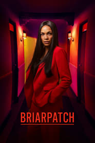 Briarpatch Italian  subtitles - SUBDL poster