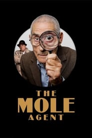 The Mole Agent English  subtitles - SUBDL poster