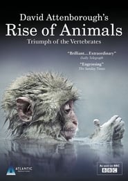 David Attenborough's Rise of Animals: Triumph of the Vertebrates