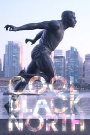 Cool Black North (2019) subtitles - SUBDL poster