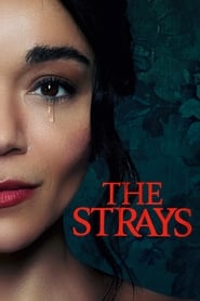 The Strays Indonesian  subtitles - SUBDL poster