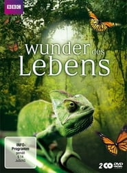 Wonders of Life (2013) subtitles - SUBDL poster