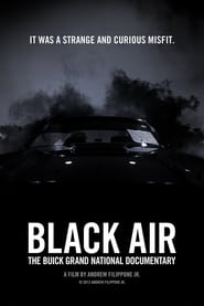 Black Air: The Buick Grand National Documentary (2012) subtitles - SUBDL poster