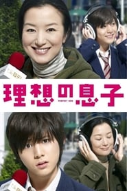 Perfect Son (2012) subtitles - SUBDL poster