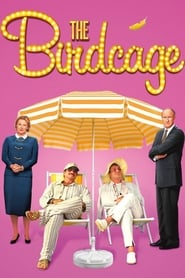 The Birdcage Spanish  subtitles - SUBDL poster