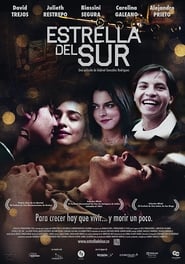 Estrella del Sur (2013) subtitles - SUBDL poster