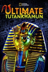 Ultimate Tutankhamun (2013) subtitles - SUBDL poster