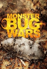 Monster Bug Wars (2011) subtitles - SUBDL poster