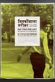 Many Straws Make a Nest: Proletarian Unrest in Delhi’s Industrial Belt (2010) subtitles - SUBDL poster