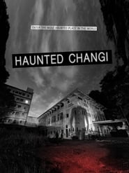 Haunted Changi (2010) subtitles