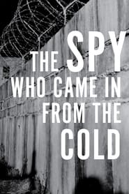 The Spy Who Came in from the Cold (1965) subtitles