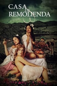 Casa de Remolienda (2007) subtitles - SUBDL poster