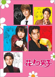 BOYS OVER FLOWERS