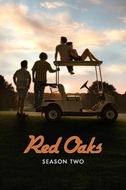 Red Oaks French  subtitles - SUBDL poster