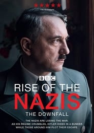 Rise of the Nazis