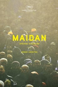Maidan (2014) subtitles - SUBDL poster