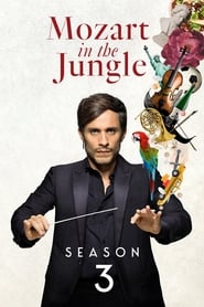 Mozart in the Jungle English  subtitles - SUBDL poster