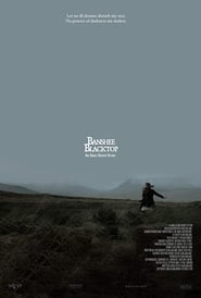 Banshee Blacktop (2016) subtitles - SUBDL poster