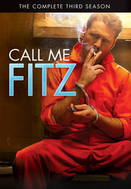 Call Me Fitz French  subtitles - SUBDL poster
