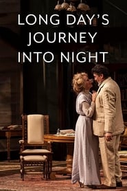 Long Day's Journey Into Night (2017) subtitles - SUBDL poster
