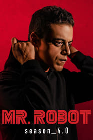 Mr. Robot Urdu  subtitles - SUBDL poster