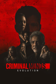 Criminal Minds English  subtitles - SUBDL poster
