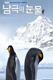 Tears of Antarctica (2011) subtitles - SUBDL poster