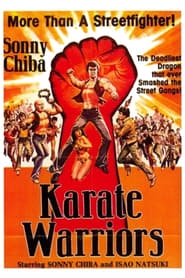 Karate Warriors (1976) subtitles