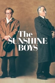 The Sunshine Boys (1996) subtitles