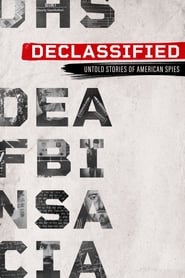 Declassified: Untold Stories of American Spies (2016) subtitles - SUBDL poster
