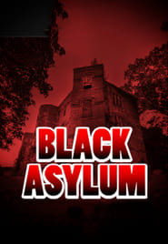 Black Asylum (2013) subtitles - SUBDL poster