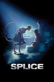 Splice