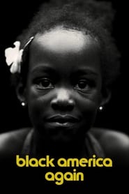 Black America Again (2016) subtitles - SUBDL poster
