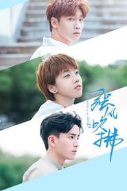 Blowing in the Wind (2019) subtitles - SUBDL poster