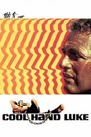 Cool Hand Luke (1967) subtitles