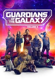 Guardians of the Galaxy Vol. 3 (2023) subtitles - SUBDL poster