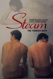 Steam: The Turkish Bath Dutch  subtitles - SUBDL poster
