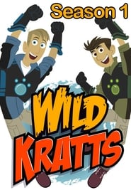 Wild Kratts (2011) subtitles - SUBDL poster