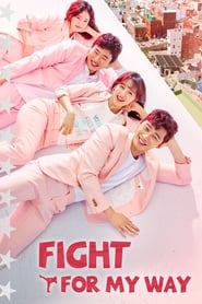 Fight For My Way (2017) subtitles - SUBDL poster