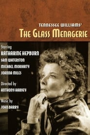 The Glass Menagerie (1973) subtitles