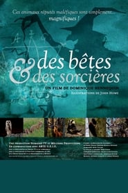 Des Bêtes et des Sorcières (2019) subtitles - SUBDL poster