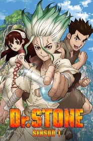 Dr. Stone French  subtitles - SUBDL poster