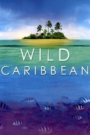 BBC: Wild Caribbean