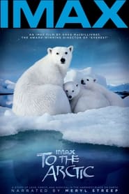 To the Arctic Farsi_persian  subtitles - SUBDL poster