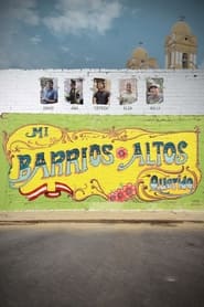 Mi Barrios Altos querido (2019) subtitles - SUBDL poster