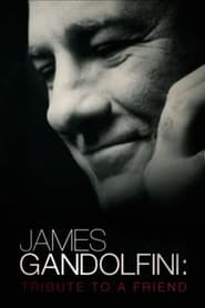 James Gandolfini: Tribute To A Friend