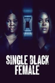 Single Black Female (2022) subtitles - SUBDL poster