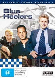 Blue Heelers