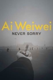 Ai Weiwei: Never Sorry English  subtitles - SUBDL poster