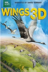 BBC: Wings 3D